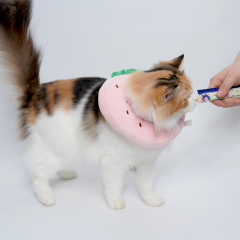 wholesale manufacturer soft pp cotton adjustable circle fruit design cat elizabeth collar