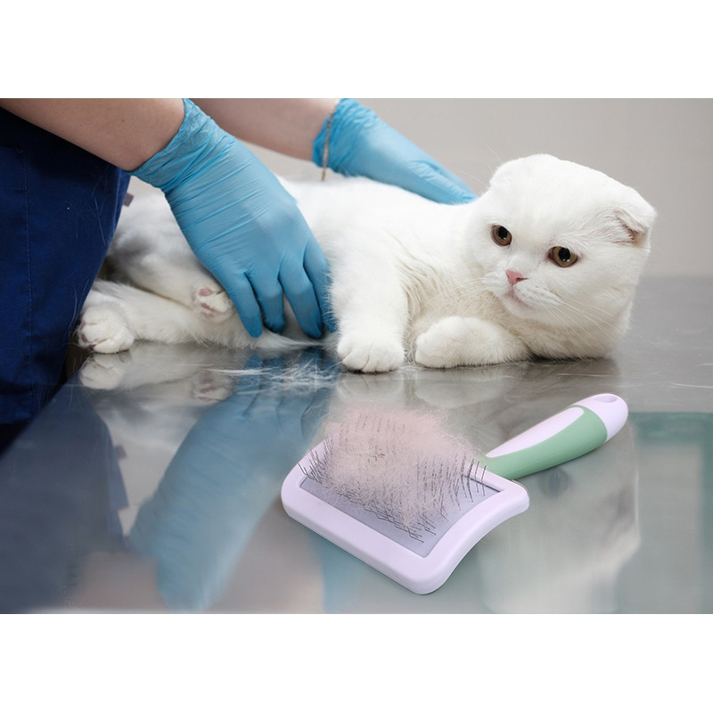 Wholesale Cheap Shedding Grooming Hail Removal Cat Dog Brush