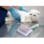 Wholesale Cheap Shedding Grooming Hail Removal Cat Dog Brush