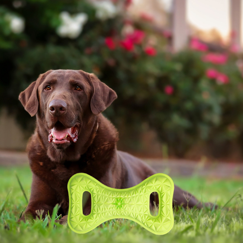 Manufacturer Wholesale Pet Product Supplier Durable Chew Dog TPR Toy