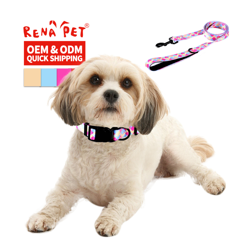 Wholesale Adjustable Cheap Custom Logo Dog Collar and Leash Set