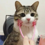 Wholesale Pink ABS Stick Face Cat Massager