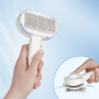Manufacturer wholesale hair removal tool cat dog brush with wet tissue