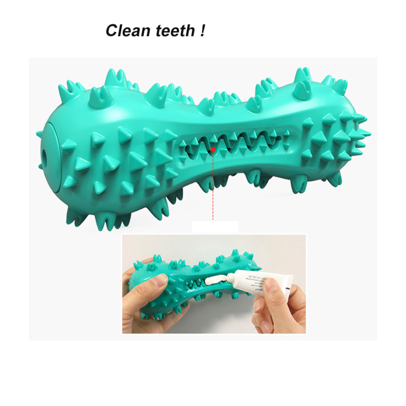 Manufacturer wholesale floating squeaky tpr clean teeth dog chew toy