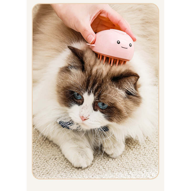Wholesale USB Charging Soft Cat Steam Pet Shower Brush