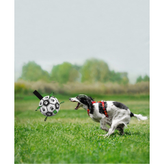 Manufacturer wholesale soccer good bounce dog rubber ball toy