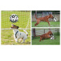 Manufacturer wholesale soccer good bounce dog rubber ball toy