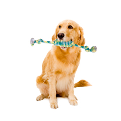Manufacturer wholesale jungle series chew dog rope toys set