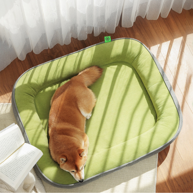 Wholesale Custom Logo Short Plush Thickened Sponge Pet Product Cat Dog Bed Large