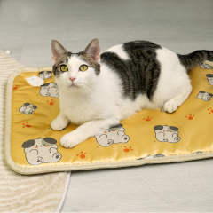 Manufacturer wholesale temperature control mat dog bed heated