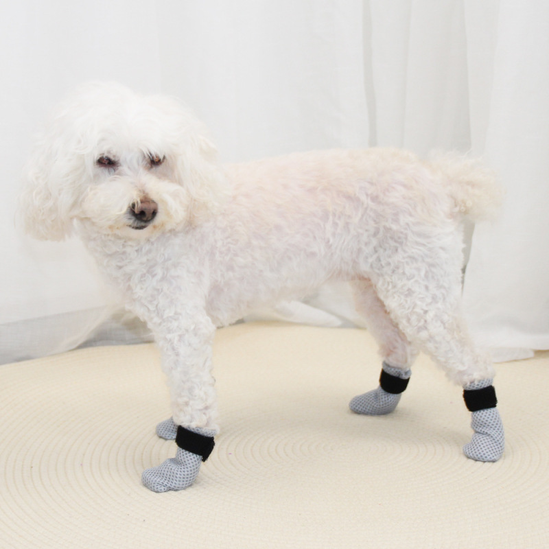 Wholesale Comfortable Protect Paw Pet Cat Dog Shoes
