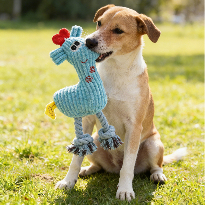 Wholesale Custom Logo Squeaky Chew Dog Toys Plush