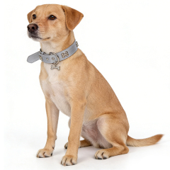 Wholesale Custom Logo PU Leather Collar for Dogs