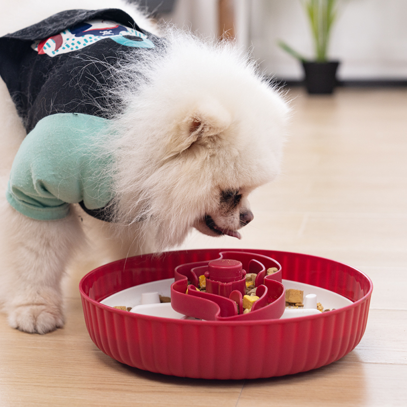 Wholesale Indoor Dog Bowl Slow Feeder