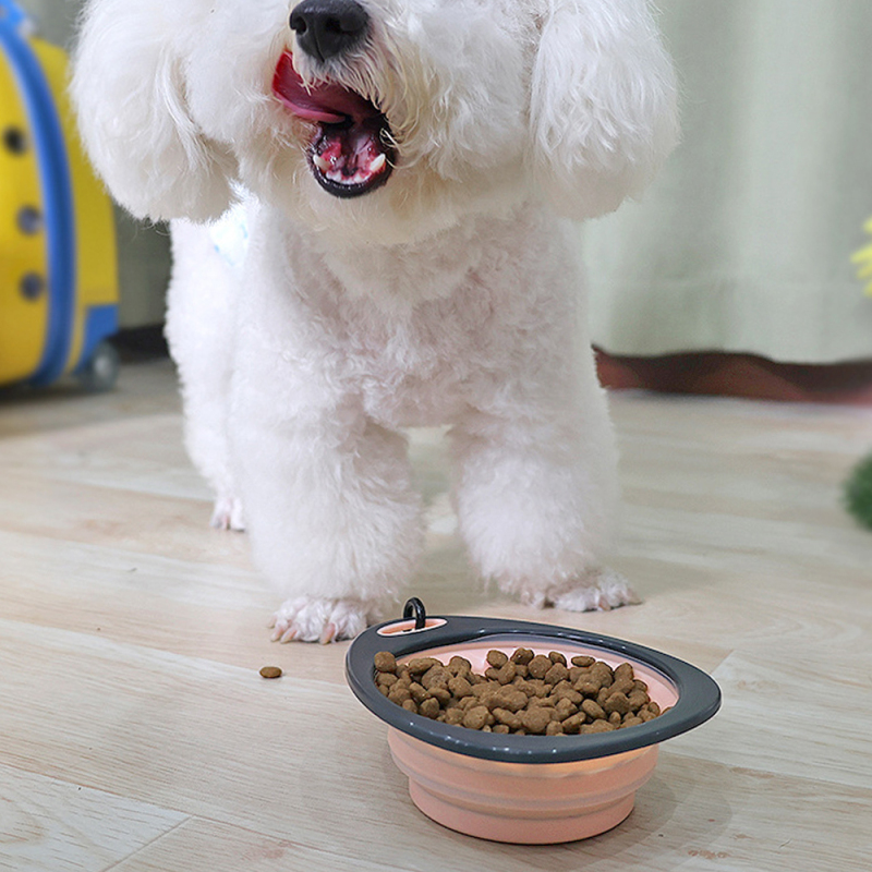 Wholesale Custom Logo Portable Collapsible Pet Dog Bowl