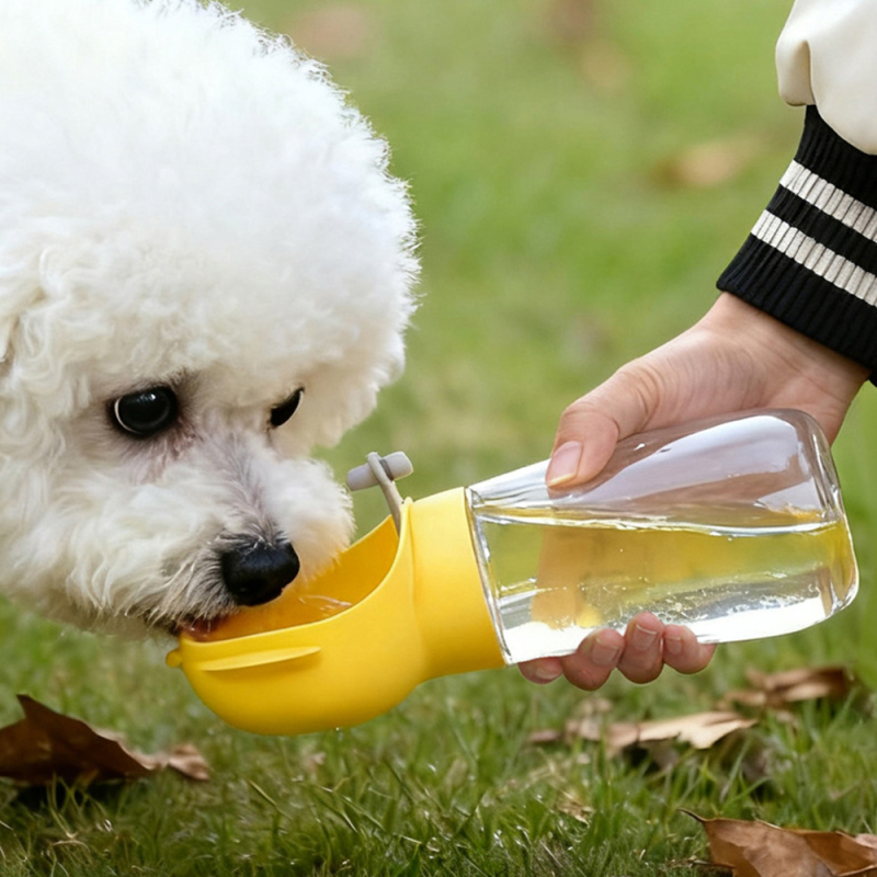 Wholesale Custom Logo Sealed Cheap Travel Portable Dog Water Bottle