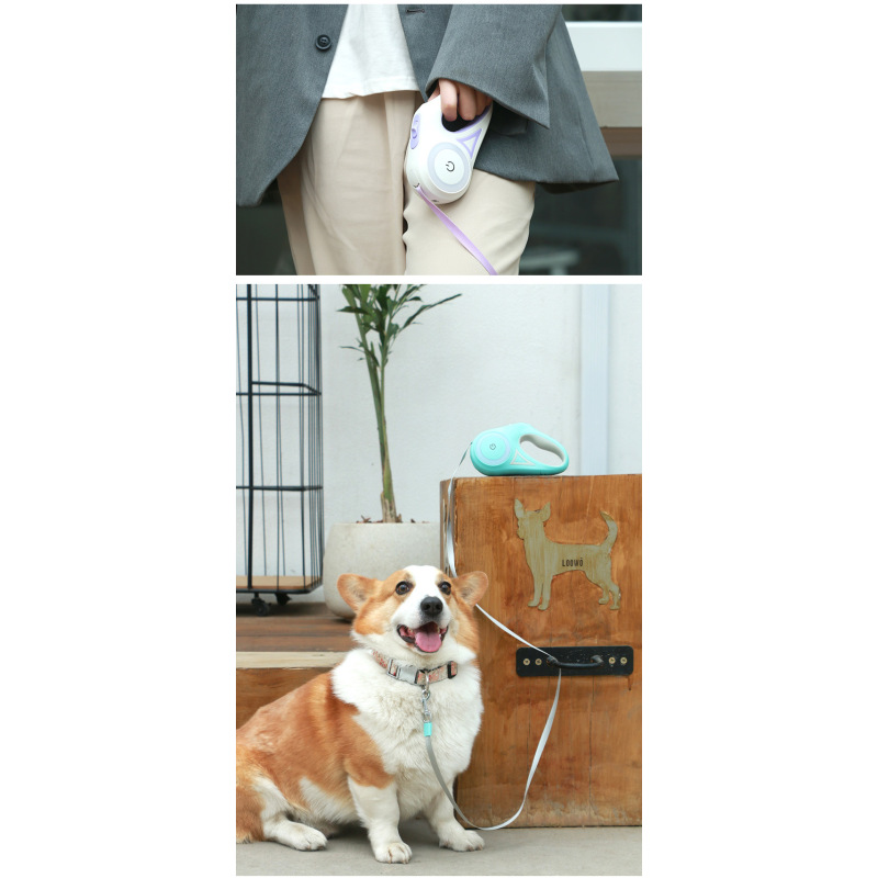 Manufacturer wholesale 3M 5M streamer automatic retractable dog leash with collar set