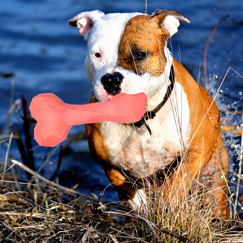 Manufacturer Wholesale Pet Product Supplier Durable Chew Dog TPR Bone Toy