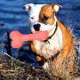 Manufacturer Wholesale Pet Product Supplier Durable Chew Dog TPR Bone Toy