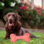 Manufacturer Wholesale Pet Product Supplier Durable Chew Dog TPR Bone Toy