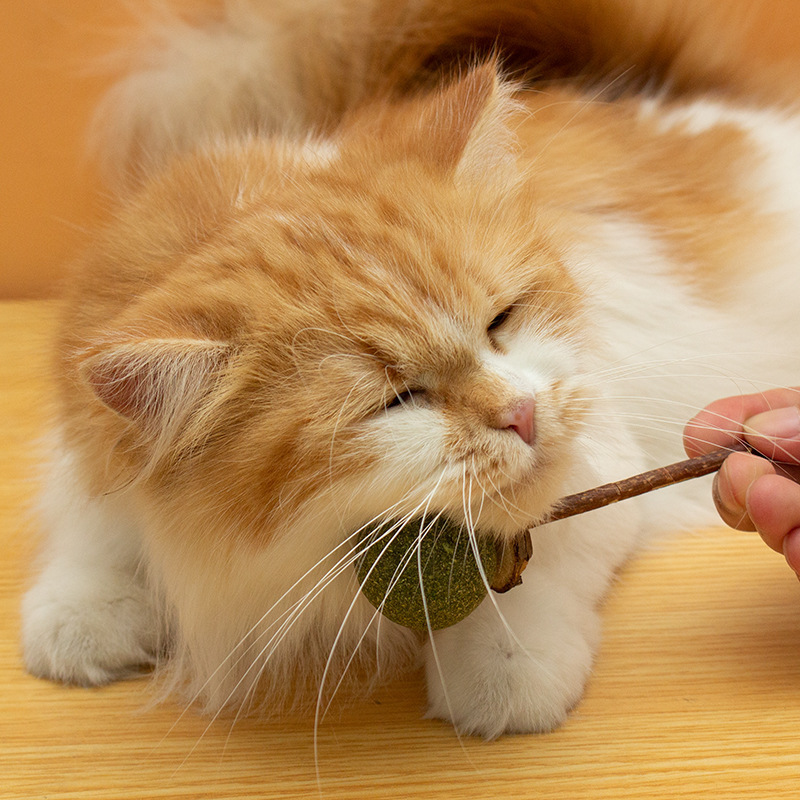 Wholesale  Wood Catnip Ball Cat Stick Toy