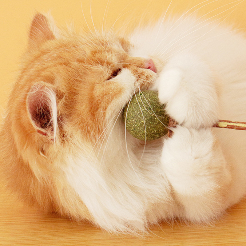 Wholesale  Wood Catnip Ball Cat Stick Toy