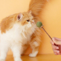Wholesale  Wood Catnip Ball Cat Stick Toy