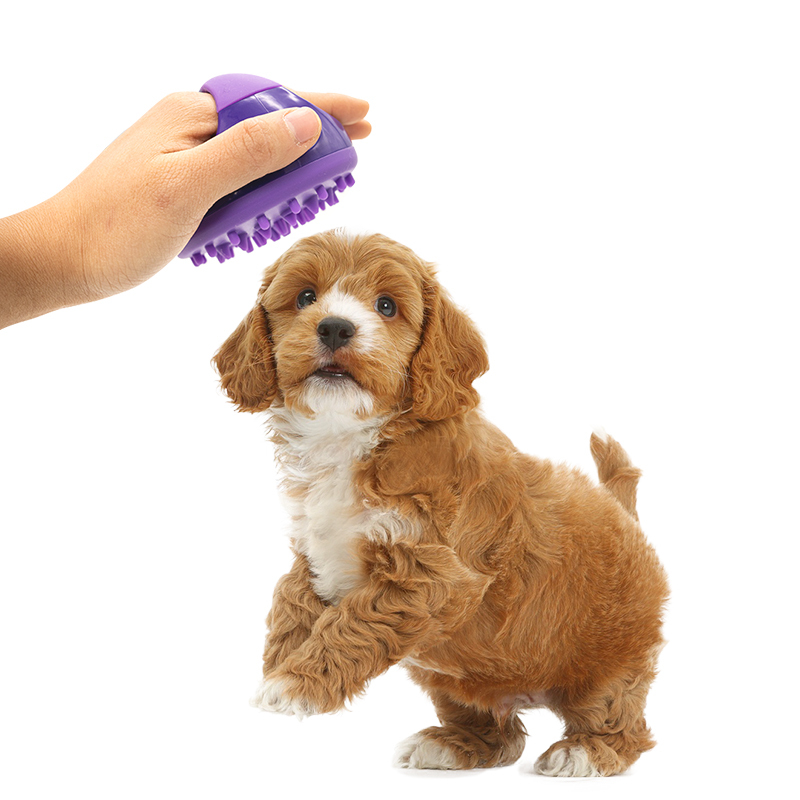 Manufacturer wholesale blue green pink grooming tool pet cat dog bath brush