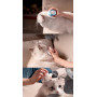 Manufacturer wholesale pink blue green ABS cat dog comb