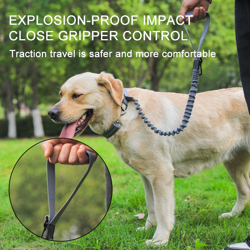 Manufacturer Wholesale Nylon Pet Car Seat Belt Dog Leash Extendable