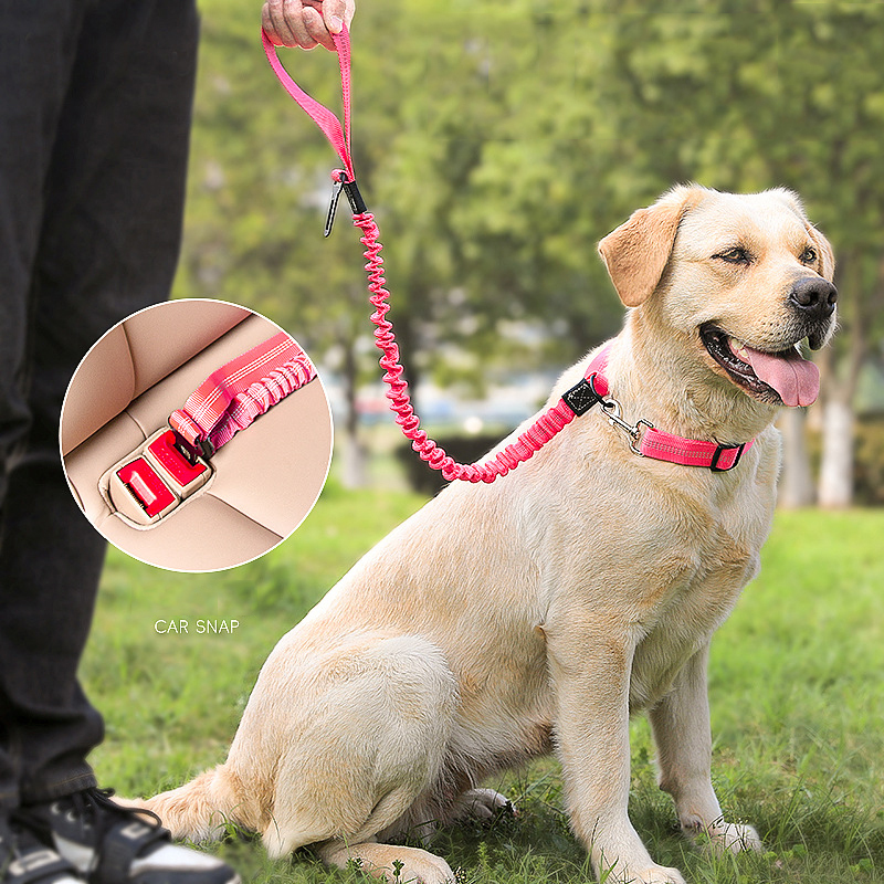 Manufacturer Wholesale Nylon Pet Car Seat Belt Dog Leash Extendable