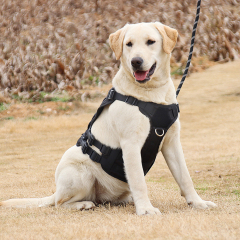 Manufacturer wholesale solid large dog harness with bag