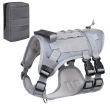 Gray with bag
