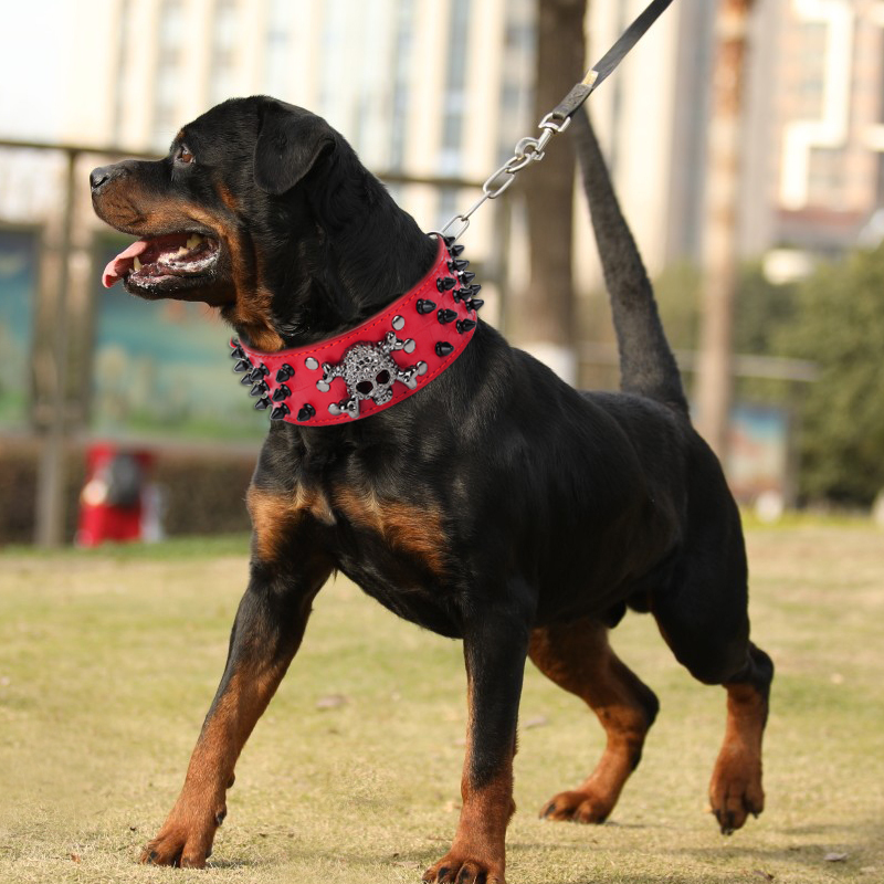 Wholesale PU Leather Skull Dog Spike Collar