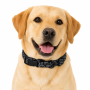 Wholesale Customized Adjustable Dog Collar Reflective