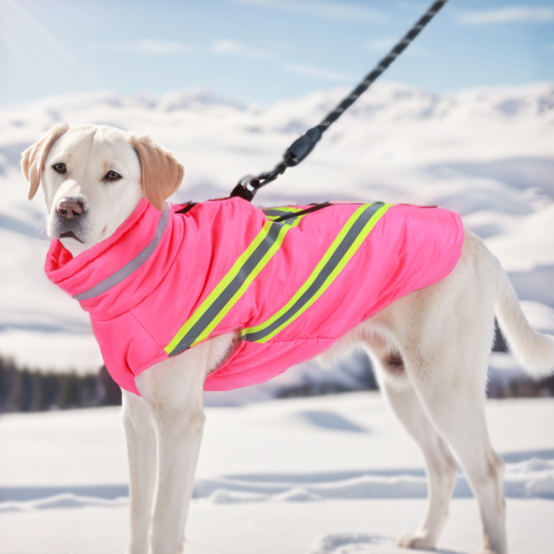 Manufacturer Wholesale Waterproof Warm Winter Dog Coat with Reflective Stripe