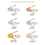 Wholesale PU Leather Woven Rope Colorful Custom Logo Dog Collar and Leash Set