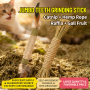 Wholesale Clean Teeth Natural Catnip Cat Chew Sticks