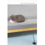 Manufacturer wholesale pink blue feather sucker cat teaser toys