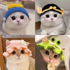 Wholesale Cute Design Wool Weaving Cat Accessories Hat