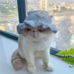 Wholesale Cute Design Wool Weaving Cat Accessories Hat