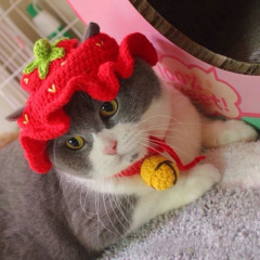 Wholesale Cute Design Wool Weaving Cat Accessories Hat