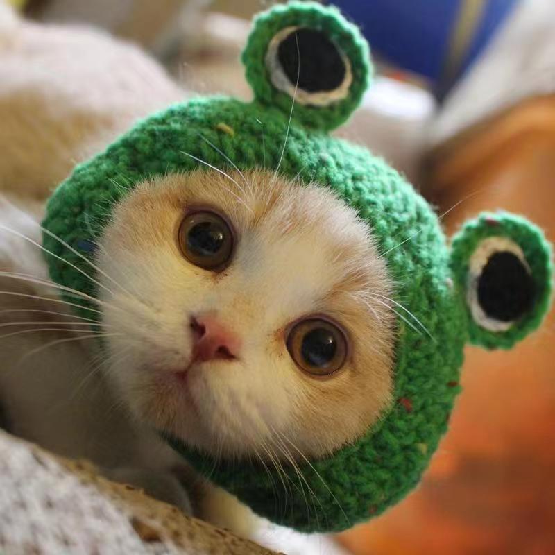 Wholesale Cute Design Wool Weaving Cat Accessories Hat