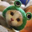 Green 1