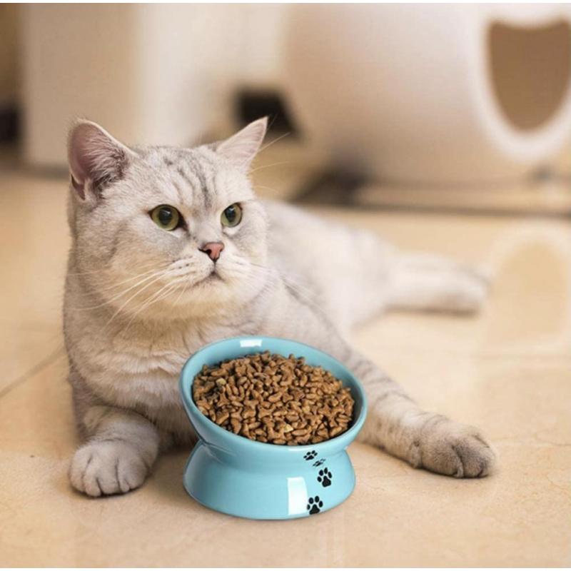 Manufacturer wholesale protect cervical spine white grey blue ceramic cat oblique bowl