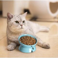 Manufacturer wholesale protect cervical spine white grey blue ceramic cat oblique bowl