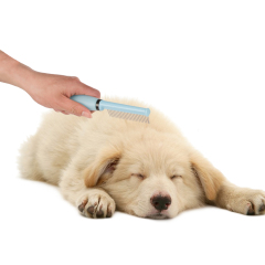 Wholesale Durable Self Cleaning Silicone Stainless Steel Pet Hair Remover Comb Dog Brush