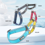 Wholesale Custom Logo Adjustable Nylon Dog Collar With Reflective Strip