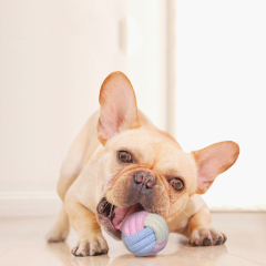 Manufacturer wholesale many design chew dog rope toys macaron color
