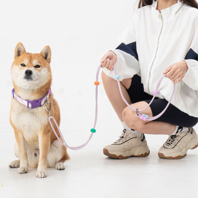 Wholesale Adjustable Multifunctional Dog Collar and Rope Leash Set